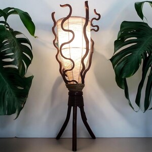May include: A brown wicker floor lamp with a white fabric shade. The lamp has a unique design with a woven wicker base and a curved, twisted wicker frame around the shade.