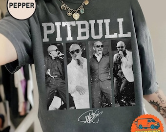 Comfort Pitbull Mr. Worldwide Shirt, Vintage Pitbull Merch, Pitbull Concert Outfit Tshirt, 90's Rapper Gift For Fan Lovers Shirt