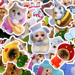 Lot de 50 autocollants pour chats déguisés au hasard, autocollants chatons rigolos pour les amoureux des chats, autocollants imperméables pour journal, album et bouteille d'eau