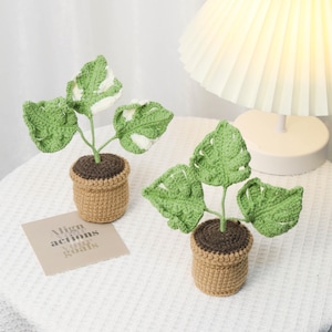 May include: Two crocheted Monstera plants in small tan pots with brown 'soil'. The green leaves have white variegation. A small card with the text 'Align actions with goals' is visible. The plants are on a white surface, near a lit lamp.
