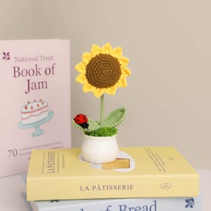 Crochet sunflower in pot handmade personalized gift for mother home decor desk decor knitted sunflowers with ladybug birthday gift for he