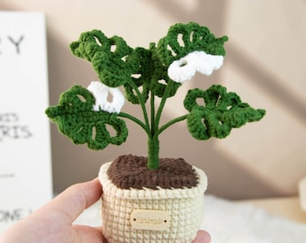 Crochet Monstera Plant with White Flowers – Handmade Yarn Potted Plant, Green & White Home Decor, Cozy Desk Gift for Plant Lovers