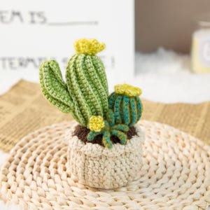 Può includere: Un'arrangiamento di cactus all'uncinetto fatto a mano in un vaso beige. Il cactus presenta filato verde e verde acqua con accenti floreali gialli. Il vaso è fatto di filato beige e poggia su un tappetino intrecciato. L'arrangiamento è un oggetto decorativo.