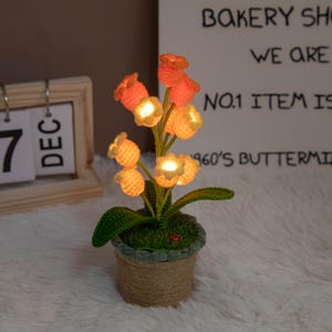 K&ouml;nnte beinhalten: Eine handgefertigte H&auml;kelblumenlampe in einem kleinen Topf. Die orangefarbenen und gelben Bl&uuml;ten werden von warmen Lichtern beleuchtet. Der Topf ist mit Bindfaden umwickelt und mit gr&uuml;nem Moos gef&uuml;llt. Ein kleiner roter Marienk&auml;fer ist sichtbar.