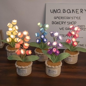 Może przedstawiać: Kolekcja ręcznie robionych szydełkowych świateł w kształcie kwiatów w różnych kolorach, w tym żółtym, pomarańczowym, niebieskim, fioletowym i czerwonym. Każdy kwiat znajduje się w małej tkanej doniczce z zielonymi liśćmi. Tło zawiera znak z napisem "UNO. BAKERY AMERICAN STYLE BAKERY SHOP".