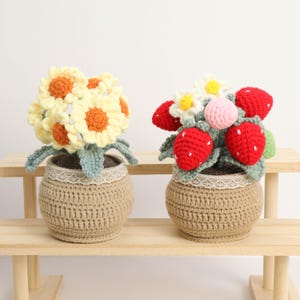 May include: Two crochet flower pots on a wooden shelf. One pot contains yellow and orange sunflowers, the other has red strawberries and white flowers. Both pots are beige with a lace trim.