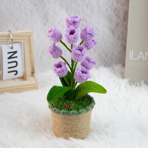 K&ouml;nnte beinhalten: Ein handgefertigtes H&auml;kelblumenarrangement mit lavendelfarbenen, glockenf&ouml;rmigen Bl&uuml;ten, gr&uuml;nen Bl&auml;ttern und Stielen. Die Blumen sind in einem kleinen, mit Bindfaden umwickelten Topf gepflanzt. Ein kleiner roter Marienk&auml;fer ist auf dem gr&uuml;nen Moos zu sehen.