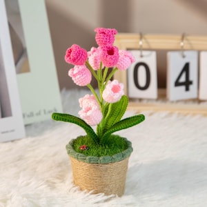 gehäkelte Maiglöckchen-Lampe | Topfblume Licht | Schreibtisch Dekoration Nachttischlampe | Einzigartiges für immer Geschenk | Geschenk zum Muttertag Ombre Pink