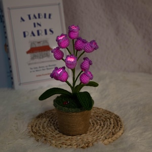 K&ouml;nnte beinhalten: Ein geh&auml;keltes Blumenarrangement mit leuchtenden lila Bl&uuml;ten und gr&uuml;nen Bl&auml;ttern, in einem mit braunem Jute umwickelten Beh&auml;lter. Das Blumenarrangement steht auf einer gewebten Matte, mit einem Buch mit dem Titel "A Table in Paris" im Hintergrund.