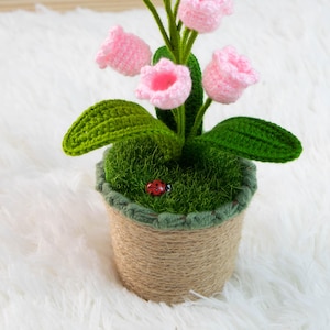 K&ouml;nnte beinhalten: Ein handgefertigtes H&auml;kelblumenarrangement in einem Topf. Das Arrangement zeigt rosa glockenf&ouml;rmige Bl&uuml;ten, gr&uuml;ne Bl&auml;tter und einen kleinen roten Marienk&auml;fer. Der Topf ist mit Bindfaden umwickelt und mit gr&uuml;nem Moos gef&uuml;llt.