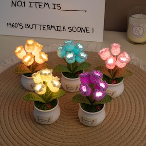 May include: Five small, potted crochet flower lights in yellow, blue, pink, and purple. Each flower has a glowing center and sits in a white pot with green leaves. The sign in the background reads "NO.1 ITEM IS..." and "1960'S BUTTERMILK SCONE!"