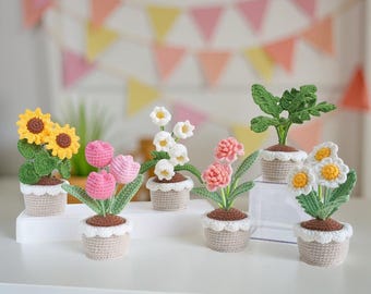 Set 6in1 Floral Elegance Pot Crochet Patterns, Flower Pot Crochet Pattern, Flower Crochet, Crochet Home Decor, Digital PDF Pattern