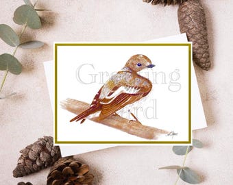 Greeting cards | Watercolor Prints of Original Artwork | Set of 10 Bird-Themed Cards