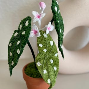 May include: A handcrafted, green plant with white polka dots on the leaves and delicate pink and white flowers. The plant is potted in a small terracotta pot filled with green moss. The plant is a decorative item.