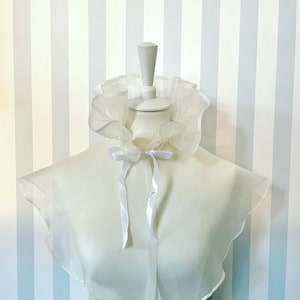 Regency Chemisette Silk