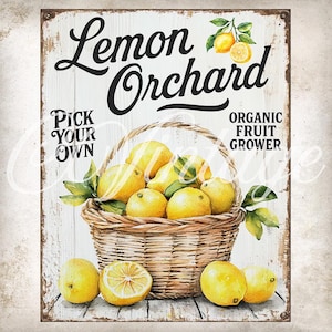 Vintage Lemon Orchard Basket Rustic Farmhouse DIY Kitchen Sign Summer Fruit Tier Tray Decor Wreath Accent DIGITAL Print 020