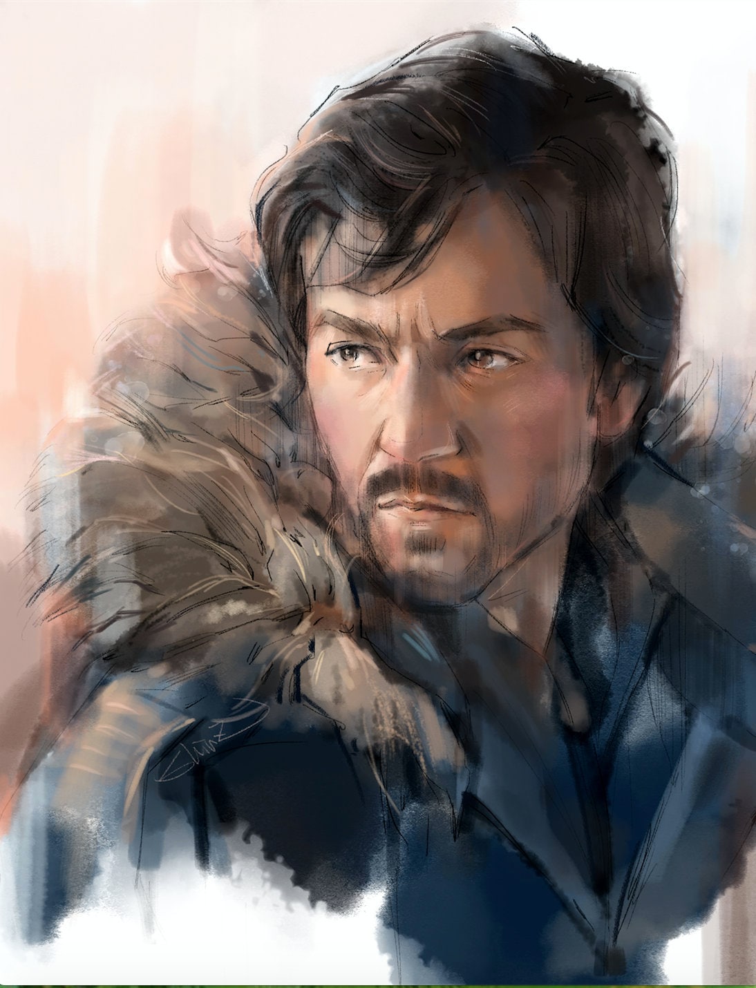 Cassian Andor, Rogue One, Diego Luna 8.5