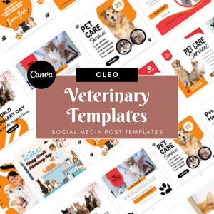 Modelos de mídias sociais para veterinários – 40 designs do Canva para Instagram e Facebook (formato quadrado, download digital)