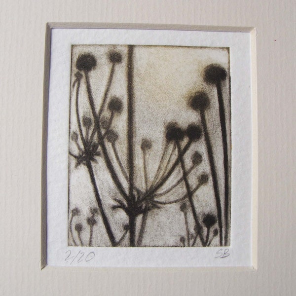 Japanese anemone seed heads Original print