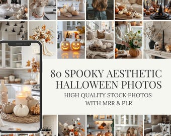 Foto stock di Halloween spettrali / Glam gotico, autunno malinconico (MRR PLR)