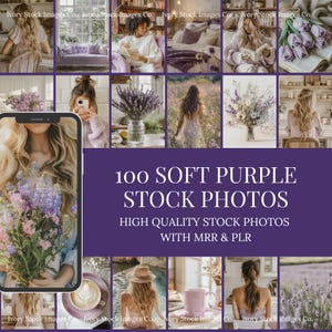 Fotos de stock de color púrpura / 100 imágenes de lavanda (MRR y PLR)