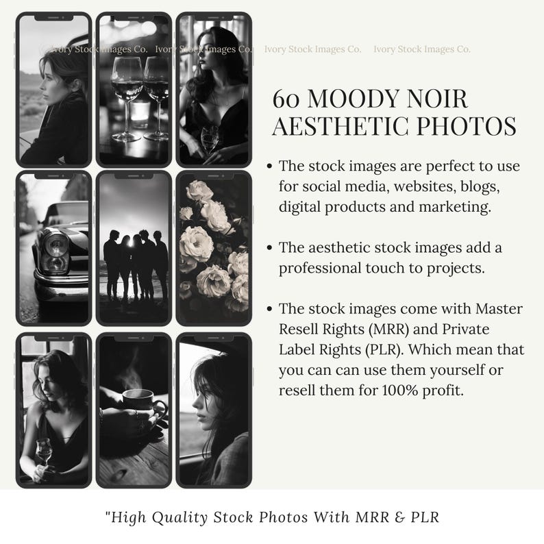 May include: A collage of six black and white photos with the text "60 MOODY NOIR AESTHETIC PHOTOS" and a description of the stock images being perfect for social media, websites, blogs, digital products and marketing. The stock images come with Master Resell Rights (MRR) and Private Label Rights (PLR). The text "High Quality Stock Photos With MRR & PLR" is at the bottom of the collage.