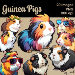 Clipart de conejillos de indias kawaii: 20 gráficos de conejillos de indias lindos y coloridos para proyectos de bricolaje, PNG transparente para uso comercial