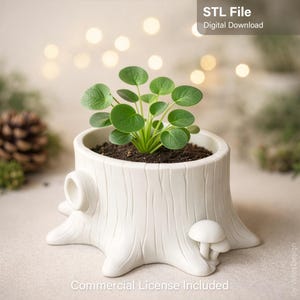 Planter 3D-print STL-bestand - boomstronk plantpot, decor, bos, paddenstoel (commercieel gebruik)