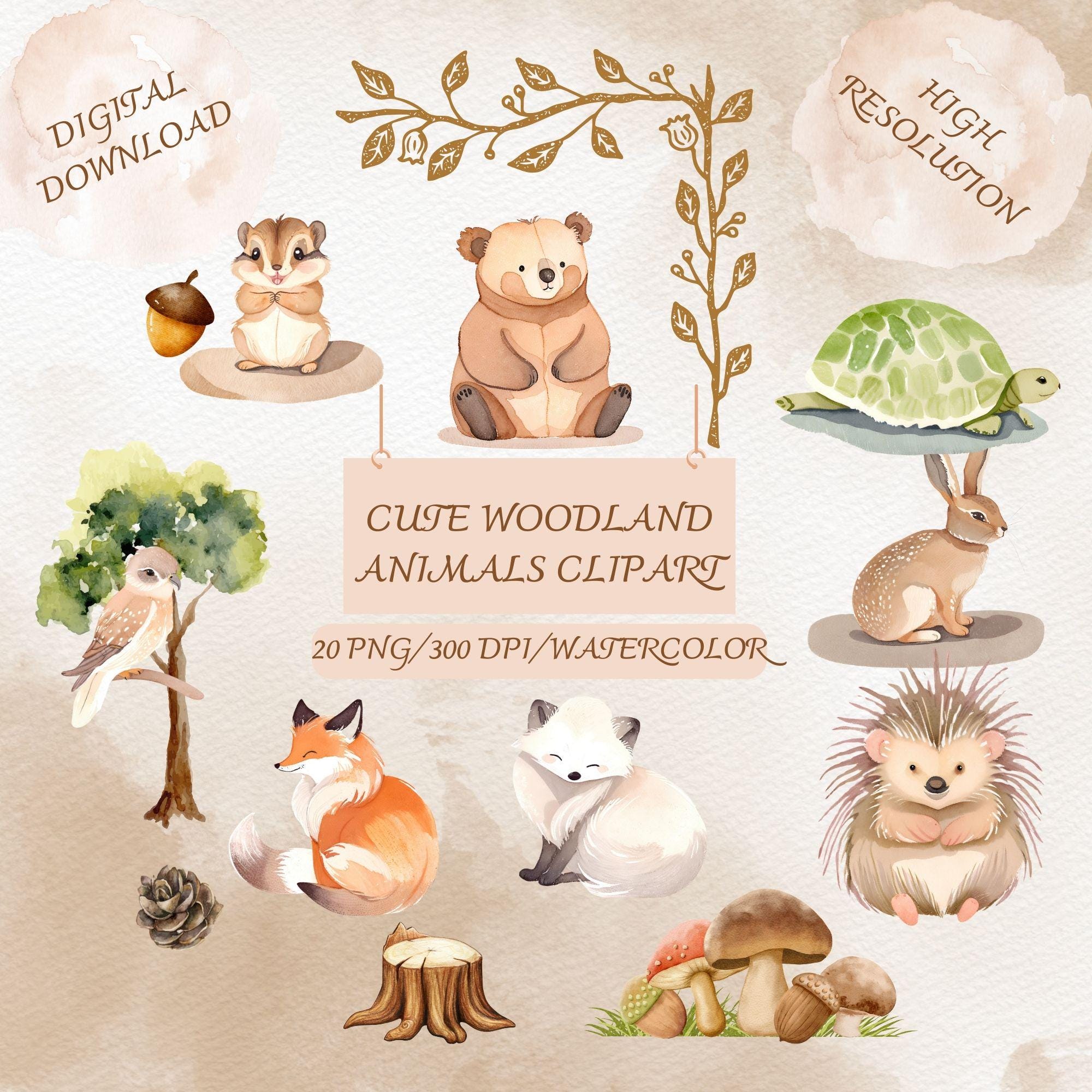 Watercolor Woodland Animals Clipart, Cute Raccoon, Fox, Owl, Bunny, Hedgehog, Boho Forest Baby Showe
