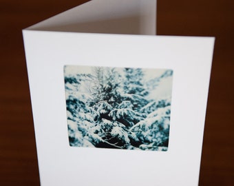 Holiday Art Card - Winter Hush - Fine Art Nature Photography