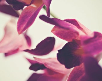 Orchideeën ||| Bloemenfoto | Zachte paarse orchidee foto | Slaapkamer muur kunst | Romantische kunst