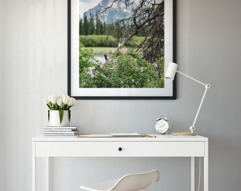 Wilde rozen ||| Alberta Fotografie | Reisfotografie | Natuurfotografie | Cottage Art