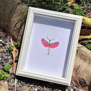 May include: A handmade wooden sign with the text "Welcome" in a whimsical font. The sign is painted white with a distressed finish, and features a decorative floral design in shades of pink and green. It is designed for indoor or outdoor use.