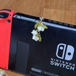 Switch Accessories