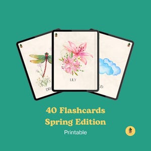 Montessori-flashkaarten lenteeditie | Educatieve afdrukbare kaarten voor kinderen | Leren aquarelleren natuur | Pdf direct downloaden