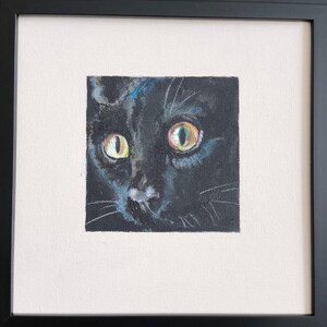 Chat panthère