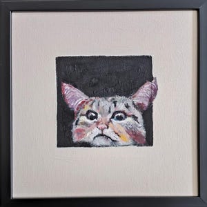 Chat curieux