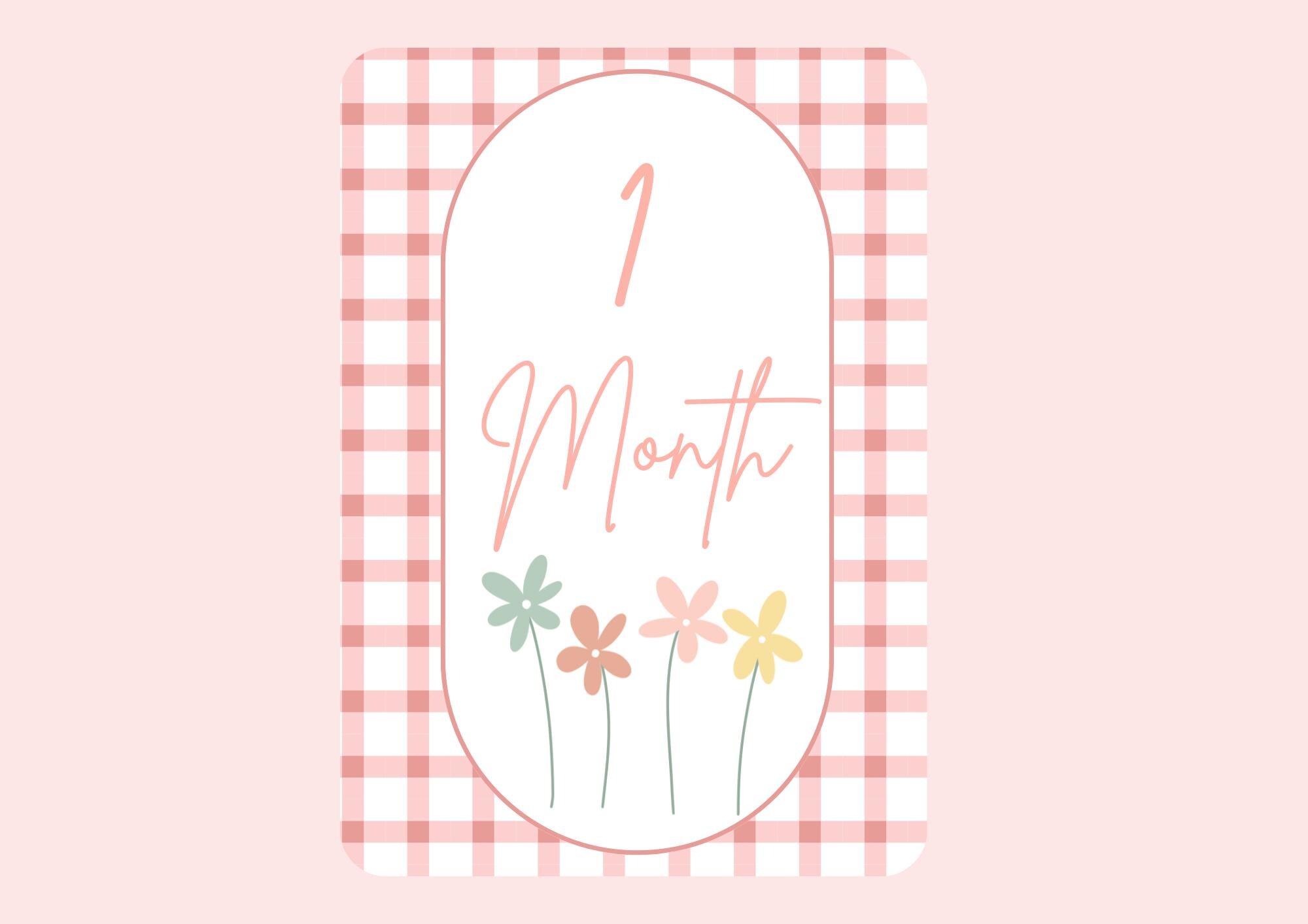 Pink Gingham Printable Baby Milestone Cards - 16 Cards - Digital ...