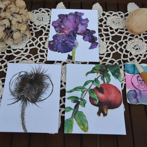 Postcard set Floral 2 - 3 pcs postcards, blossom, botanical motifs, watercolor postcard, floral, illustration