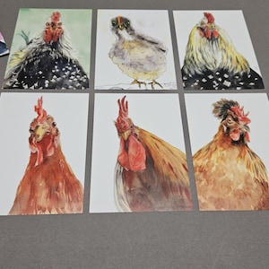 Conjunto de cartões postais com 6 peças. com seis galinhas e galos