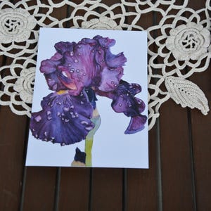 L'Iris! - Cartolina, Fiore, Motivi Botanici, Cartolina Acquerello, Floreale, Illustrazione