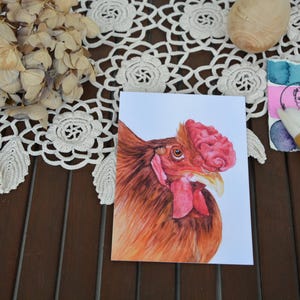 Ce qui est bien chez moi, c'est que je suis riche ! - Carte postale, coq, aquarelle, animal, illustration