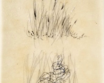 Daily Drawing March 12, 2018 / Tall Grasses / Mixed Media Drawing with Beeswax