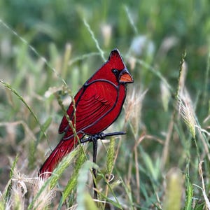 Vitral de cardenal con soporte - Atrapasol de pájaro de vitral - Regalo de cardenal - Pájaros de vitral - Vitral personalizado
