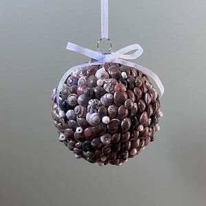 Shell ornament miniature shells for beach lover