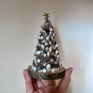 May include: A small, decorative Christmas tree made of seashells and a wooden base. The tree is topped with a gold star.