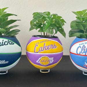 May include: Three basketball-themed planters, each with a different team logo: Dallas Mavericks, Los Angeles Lakers, and San Diego Clippers. Each planter contains a vibrant green plant, creating a unique decorative item.