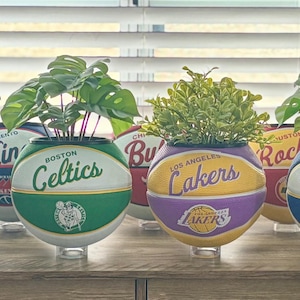 NBA Team Basketball Blumentöpfe. Wähle dein Team.
