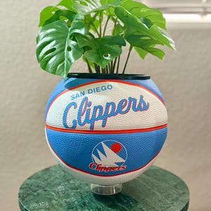 NBA Team Basketball planters. Choose your team. image 10