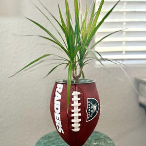 Las Vegas Raiders Football Planters